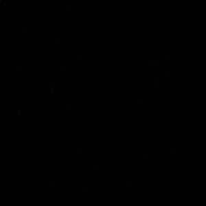 Meet your Posher, Kenner